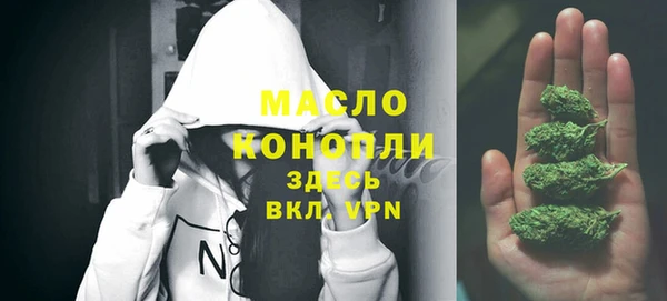 первитин Михайлов