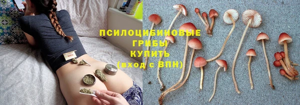 первитин Михайлов
