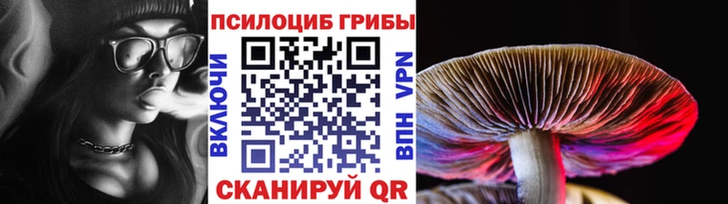 магазин  наркотиков  Пугачёв  Галлюциногенные грибы GOLDEN TEACHER 